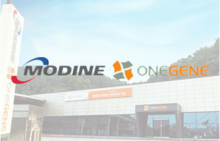 모딘원진(유) 썸네일